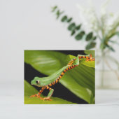 Tiger Leg Monkey Tree Postcard Postkarte (Stehend Vorderseite)