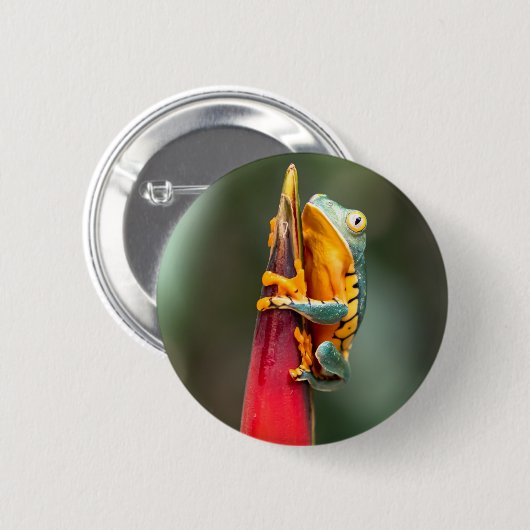 Tiger Leged Monkey Tree Frog Green Orange Button (Vorne & Hinten)
