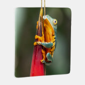 Tiger Leged Monkey Tree Frog Green Orange Keramikornament (Rechts)