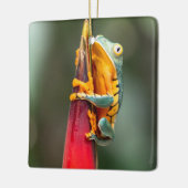 Tiger Leged Monkey Tree Frog Green Orange Keramikornament (Links)
