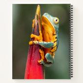 Tiger Leged Monkey Tree Frog Green Orange Notizblock (Rückseite)
