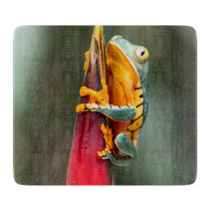 Tiger Leged Monkey Tree Frog Green Orange Schneidebrett