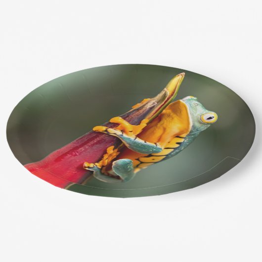 Tiger-Legende-Affenbaum-Frosch-grüne Orange Pappteller (Schrägansicht)