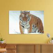 Tiger Leinwanddruck (Insitu (Wohnzimmer))