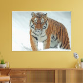 Tiger Leinwanddruck (Insitu (Wohnzimmer))