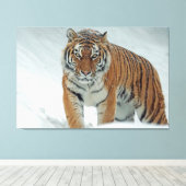 Tiger Leinwanddruck (Insitu (Holzboden))