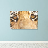 Tiger Leinwanddruck (Insitu (Holzboden))