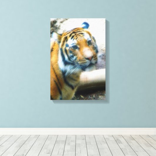 Tiger Leinwanddruck (Insitu (Holzboden))