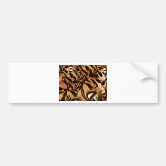 Tiger-Liebe_ Autoaufkleber (Vorne)