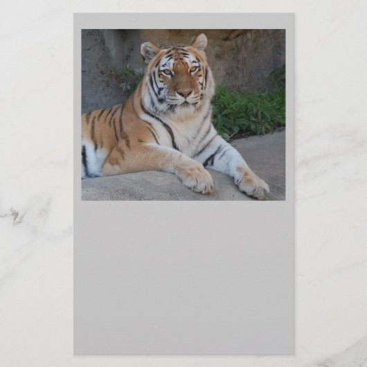 Tiger-Liebe Briefpapier (Vorderseite)