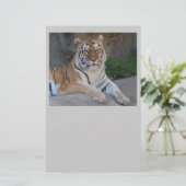 Tiger-Liebe Briefpapier (Stehend Vorderseite)