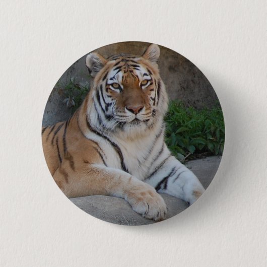 Tiger-Liebe Button (Vorderseite)