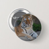 Tiger-Liebe Button (Vorne & Hinten)