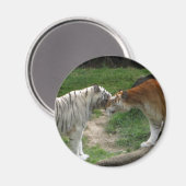 Tiger-Liebe Magnet (Vorderseite/Rückseite)