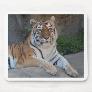 Tiger-Liebe Mousepad