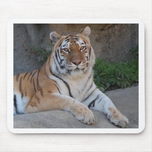 Tiger-Liebe Mousepad (Vorne)