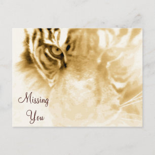 ,Tiger Liebe_ Postkarte