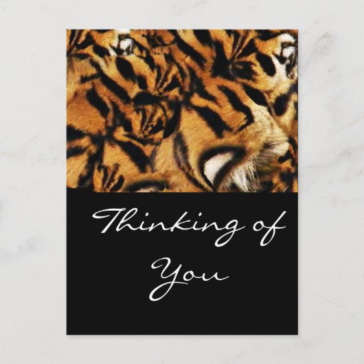 Tiger-Liebe_ Postkarte (Vorderseite)