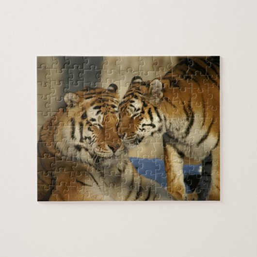 Tiger-Liebe-Puzzlespiel Puzzle (Horizontal)