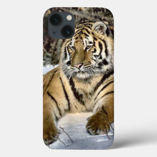 Tiger-Liebhaber Case-Mate iPhone Hülle