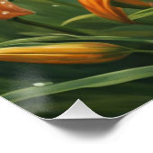 Tiger-Lilie-Blume Poster (Ecke)