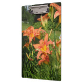 Tiger Lilie im Garten Klemmbrett (Links)