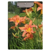 Tiger Lilie im Garten Klemmbrett (Vorderseite)