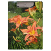 Tiger Lilie im Garten Klemmbrett (Vorderseite)
