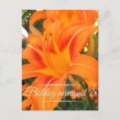 Tiger lilie - Name Day Postkarte (Vorderseite)