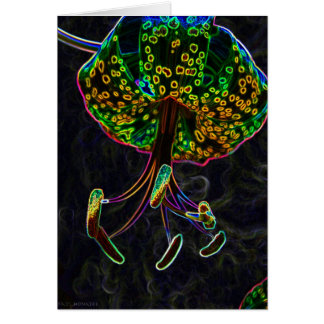 Tiger-Lilie Photoshop