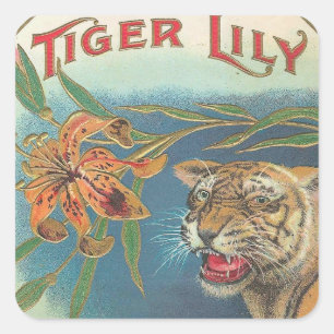 Tiger-Lilie Quadratischer Aufkleber