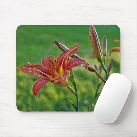 Tiger-Lilien Mousepad (Mit Mouse)