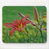 Tiger-Lilien Mousepad (Vorne)