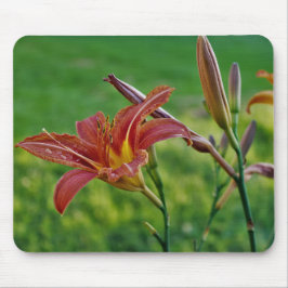 Tiger-Lilien Mousepad