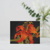 Tiger-Lilien-Postkarte Postkarte (Stehend Vorderseite)