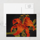 Tiger-Lilien-Postkarte Postkarte (Vorne/Hinten)