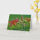 Tiger Lilies Karte (Gelbe Blume)