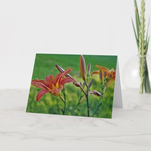 Tiger Lilies Karte (Vorderseite)
