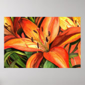 Tiger Lilies Poster (Vorne)
