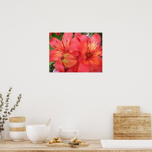 Tiger Lilies Poster (Küche)