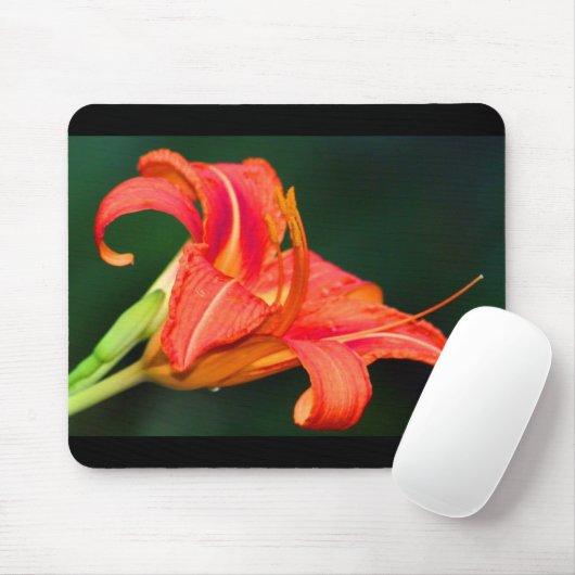 Tiger Lilly Mousepad (Mit Mouse)