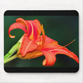 Tiger Lilly Mousepad (Vorne)