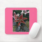Tiger Lily 2002 Winter Park CO art1z Mousepad (Mit Mouse)