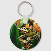 Tiger Lily and Butterfly