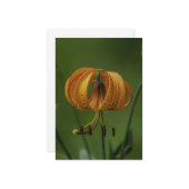 Tiger Lily - flache Grußkarte Karte (Vorderseite/Rückseite Beispiel)