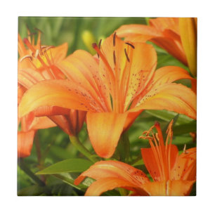 Tiger Lily Fliese