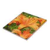 Tiger Lily Fliese (Seite)