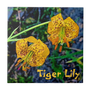 Tiger Lily Fliese