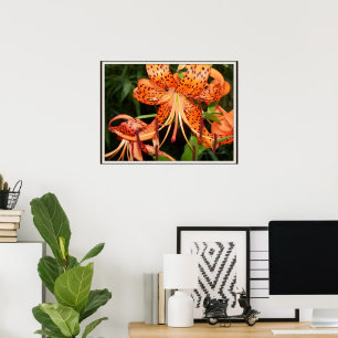 Tiger Lily Flower Garden Poster