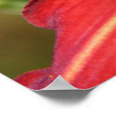 Tiger Lily & Friend Poster (Ecke)